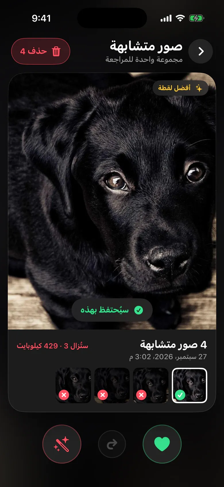 الصور المتشابهة في Squeak: أربع لقطات لجرو، وأوضحها محددة لتبقى